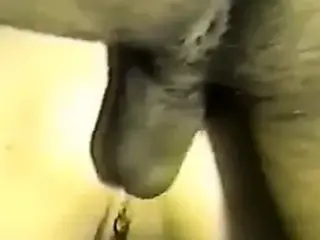 Amateur anal squirting with BBC