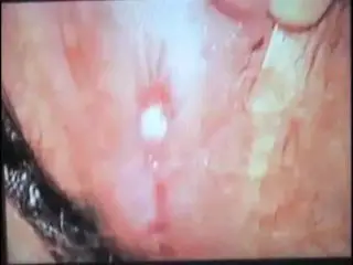 PER IL MIO SCOPAMICO