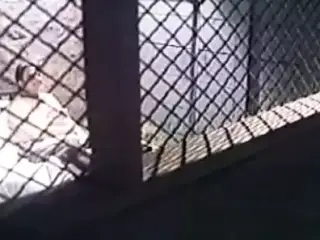 Lust at First Bite (1979)