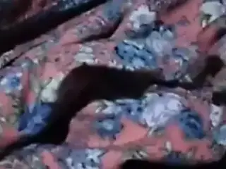 Indian 2018