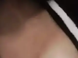 elvis