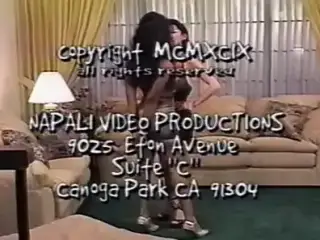 Catfight Titfight