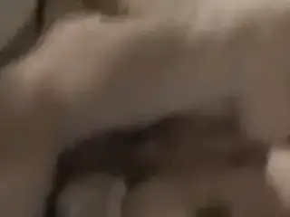 amateur busty blonde get fucked