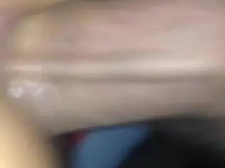 Ansimo a quattro zampe