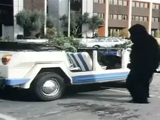 Ode To The Pioneers 7