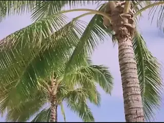 Ode To The Pioneers 5 (Restored)