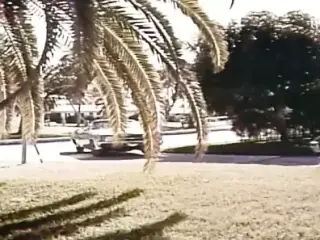 Full Porn Film 67