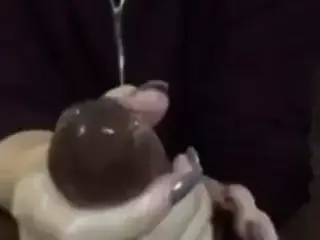 5 star. Snowbunny miliking bbc