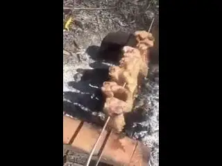 how to fry shish kebab