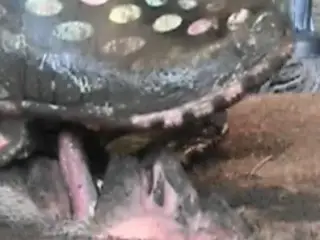 Most extraordinary doormat