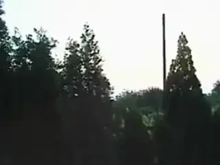 German Outdoor gangbang