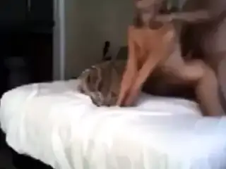 Amateur screaming blonde getting fucked