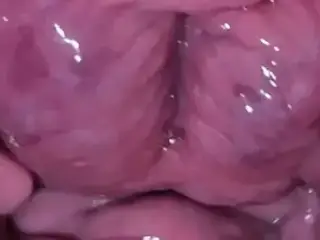 The origin of life