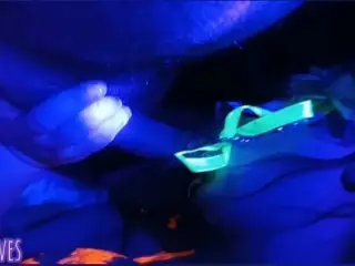 Sucking cock at a neon party – Bree Loves