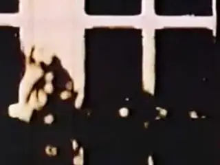 Teddy Bare (1978)