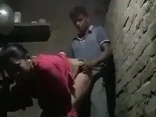 Desi bhabhi desi sex