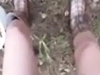 let's go to the forest for mushrooms