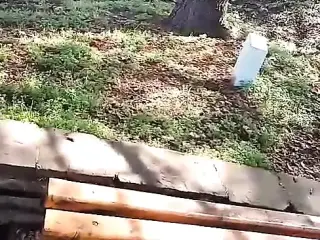 In the city park