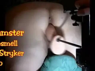 Jeff Stryker Dildo on Fucking Machine, BBW on Her Knees