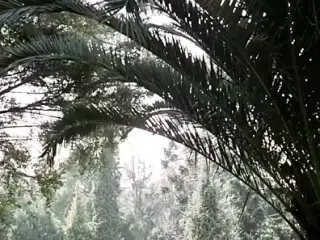 Porno Shock (Remastered)