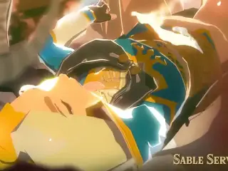 Sable Serviette - Princess Zelda