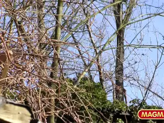 Amateur nun gets nailed by mature priest