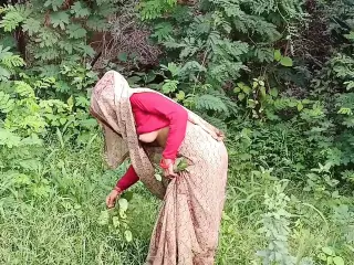 Jangal Mai bhabhi Chara Lenexa gyi aur buri fas gyi aur chudai