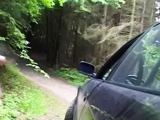 Blondine am Strassenrand aufgerissen und durch gefickt