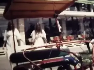 Geil unter Palmen (Viola Film)