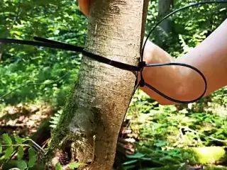 Tie her tits to the tree and whip them hard