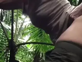 Fun in the tropical forest