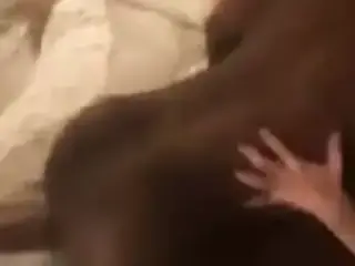 Amateur cuckold wife in hot missionary
