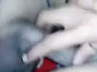 telegram id paidfuckingnew search and follow