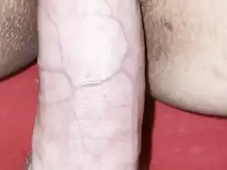 small pussy loves big dick