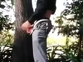 Sex in the wild
