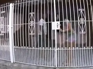 the hottest brunette from the northeast of Brazil