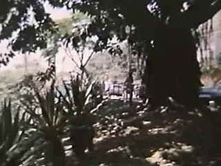 Senta no Meu, Que Eu Entro na Tua (1985)