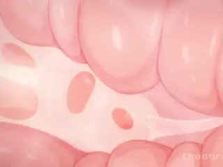 Astolfo Pounded Deep By Shimakaze