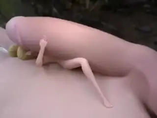 fetish for fairy