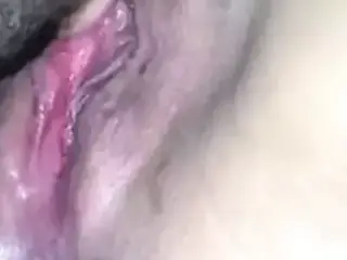 Blediene de lomme cuni