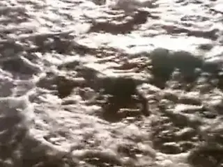 HOTEL EROTICA MODEL BEHAVIOR