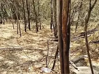 Desi aunty jungle sex