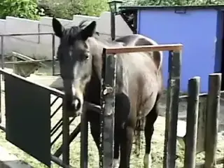 Blond bitch is fucked hard up the smelly door in outbuilding