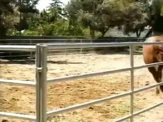 Passion Crimes  - Full Movie