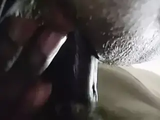 Ann Chen vs Mr.ANACONDA