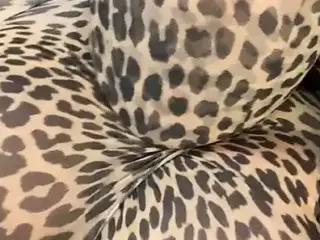 Leopard Pantyhose Encasement