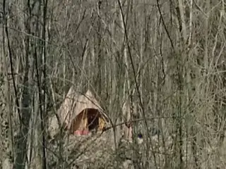 Schoolgirl Hitchhikers (1973)