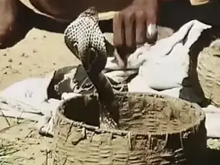 Das grosse Blaskonzert (1979)