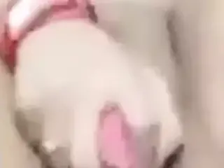 Meri pyasi choot me dildo, desi video, selfie, masturbation