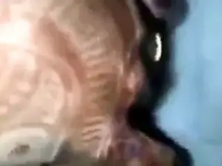 Happy Diwali